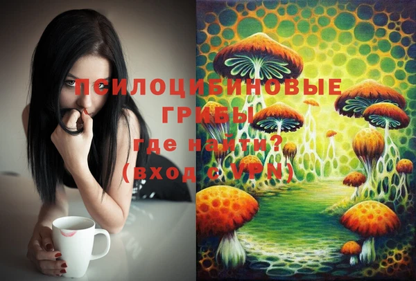 молекула духа Алзамай