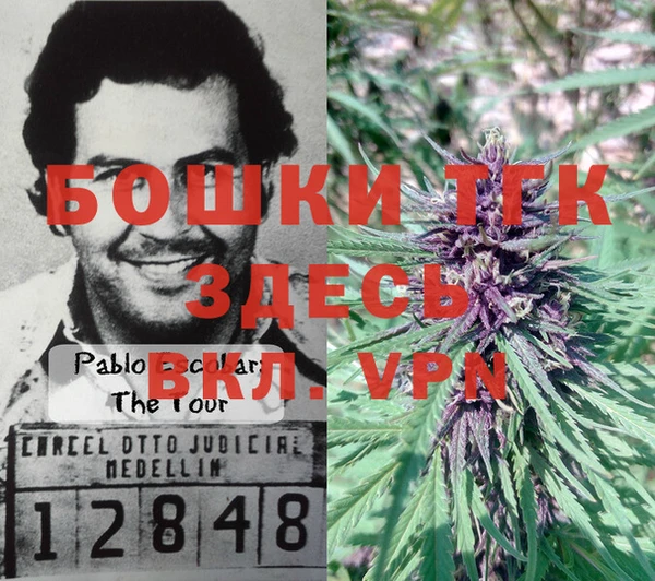 молекула духа Алзамай